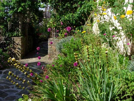 Garden design London|garden design Devon